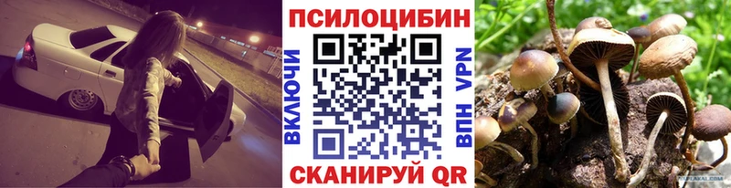 Псилоцибиновые грибы GOLDEN TEACHER  Купить закладки  Сургут 
